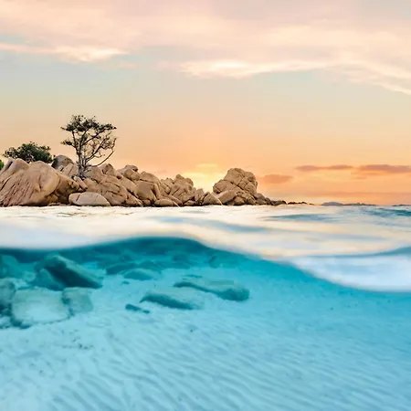 فيلة Clicksardegna Paraiba Fronte Mare Per 12 Persone ألغيرو